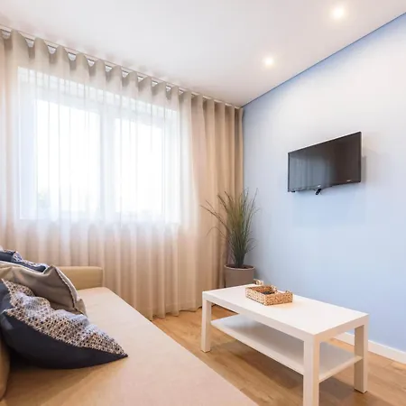 Terro Collection - Anjo Braga